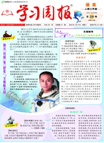 学习周报
